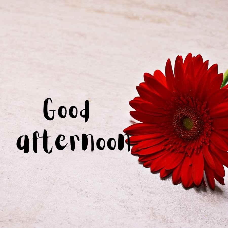 Good Afternoon Images in Hindi