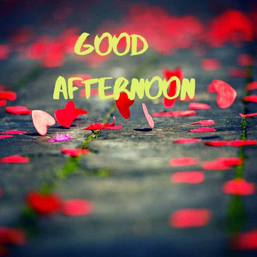 Good Afternoon Images in Hindi