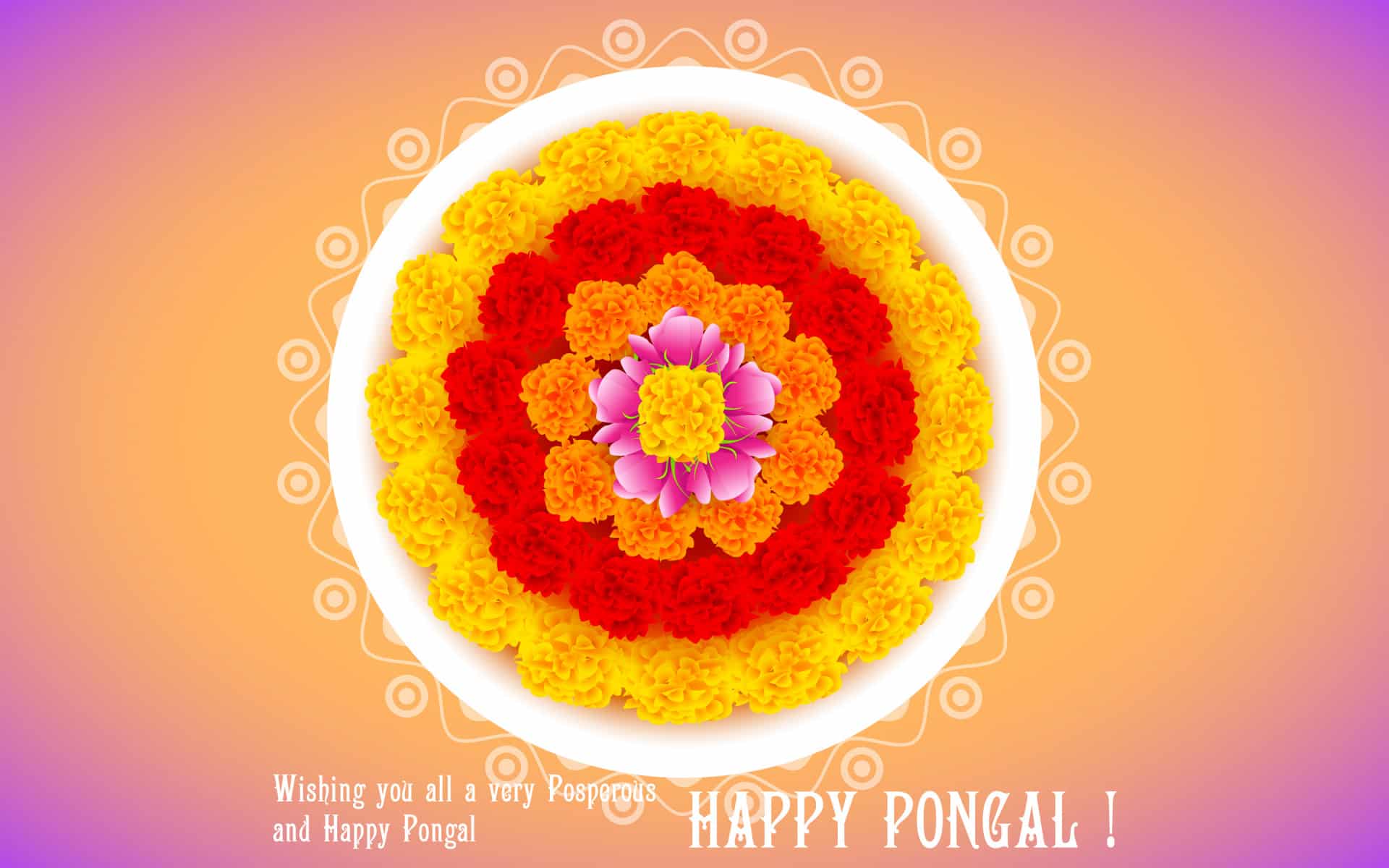 Happy Pongal Images HD
