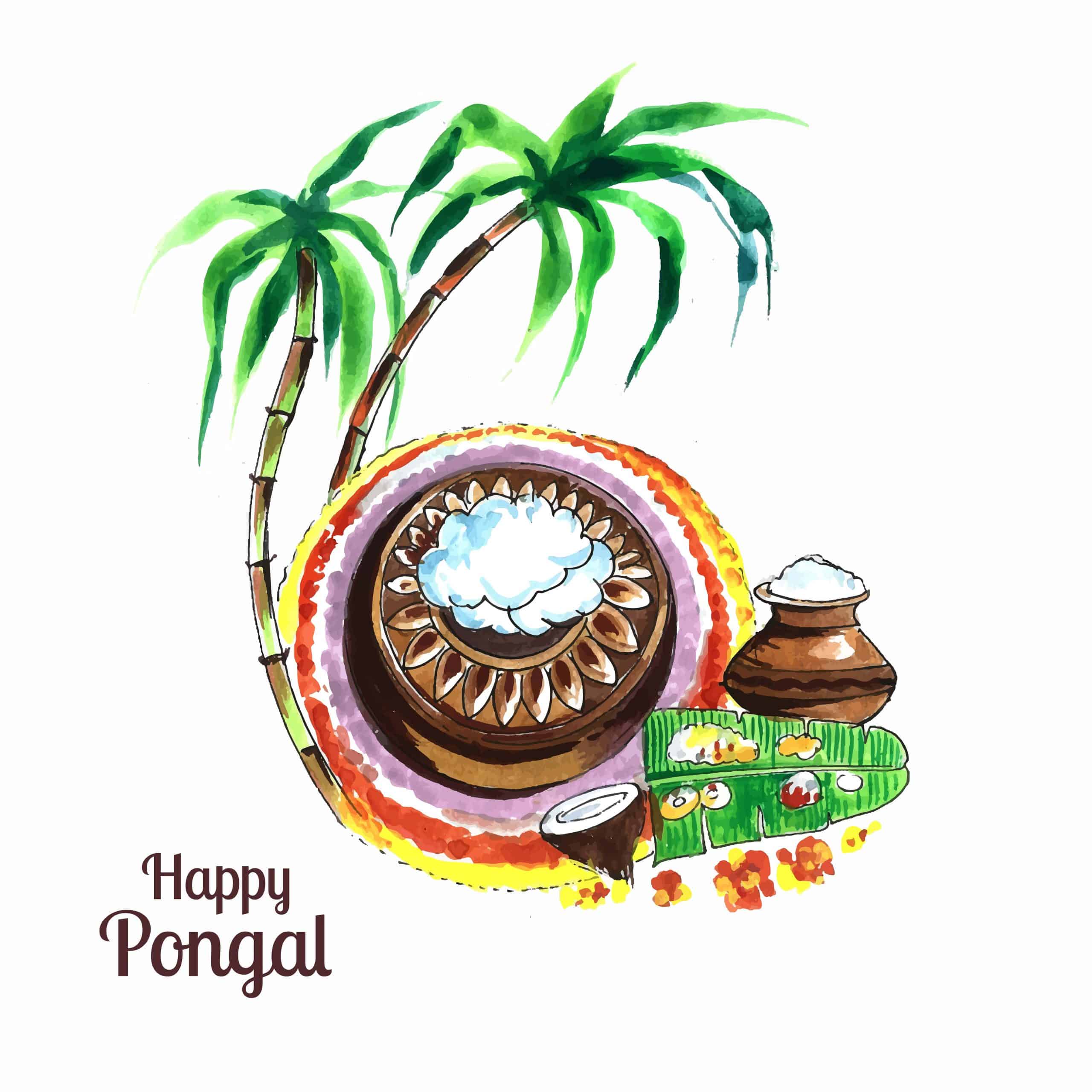 Happy Pongal Images HD
