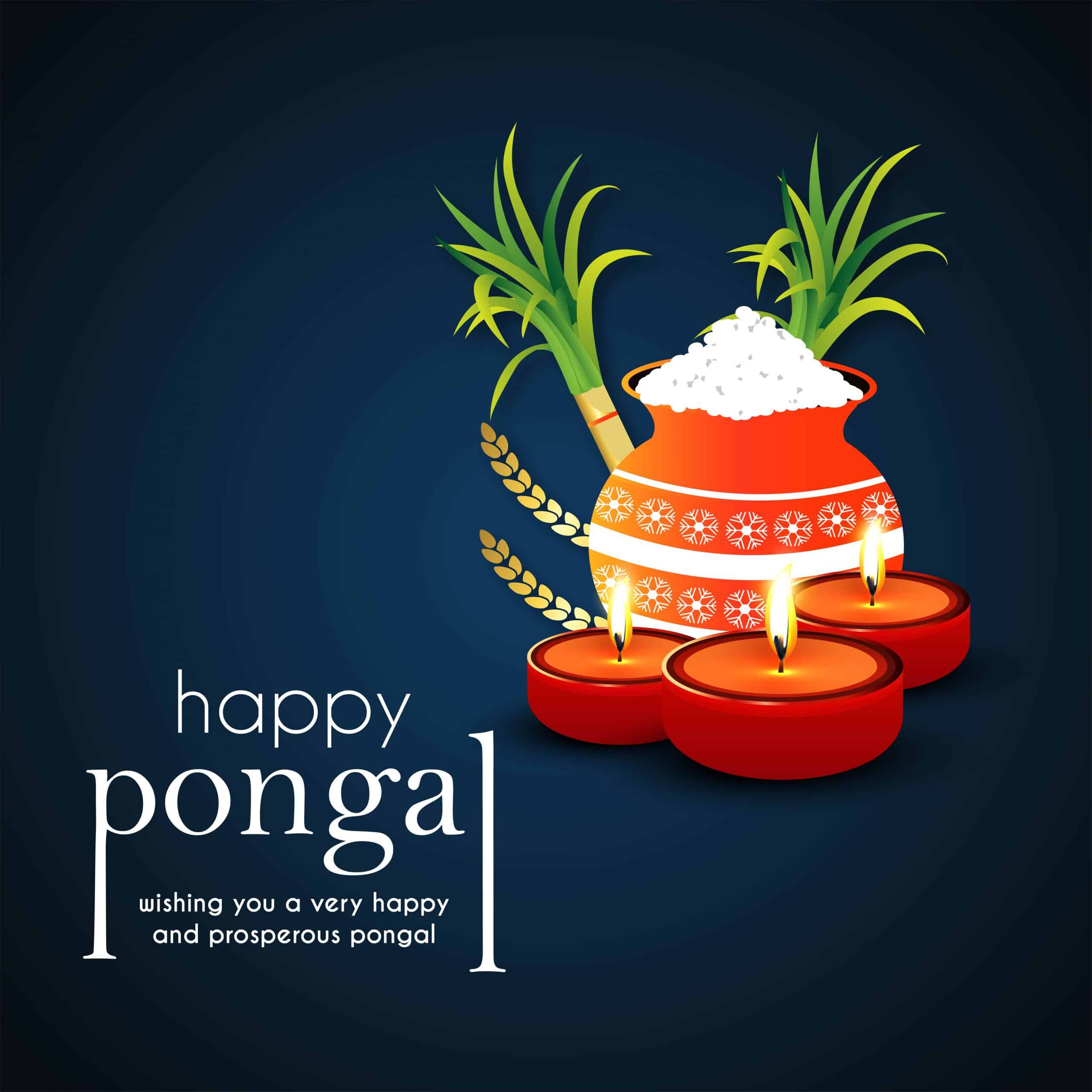 Happy Pongal Pics