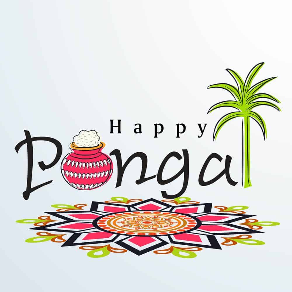 70+] Happy Pongal Images, Photos, Pics & Wallpaper (HD)