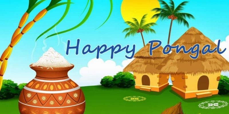 Happy Pongal Images Thumbnail