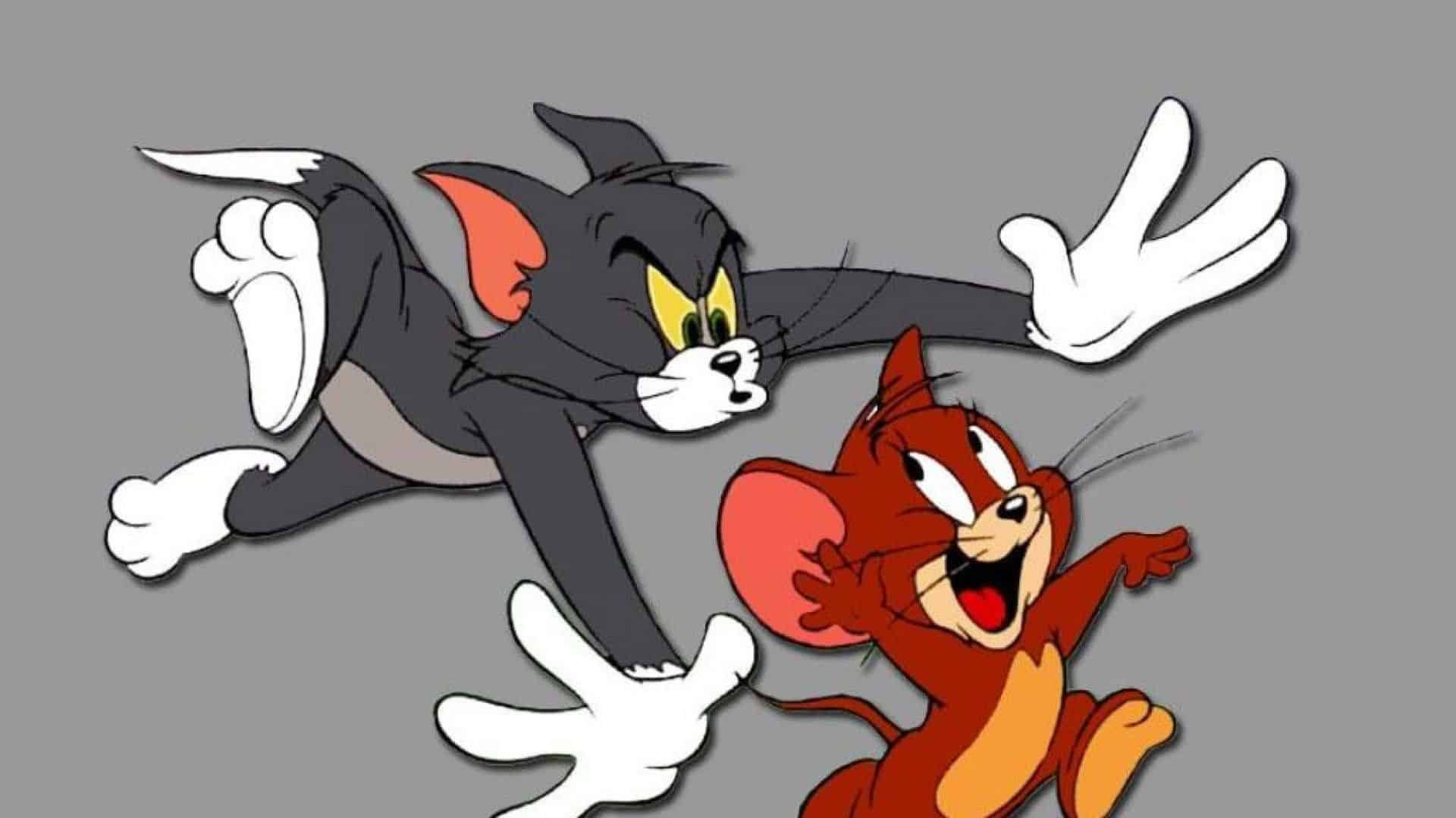 Tom and Jerry DP