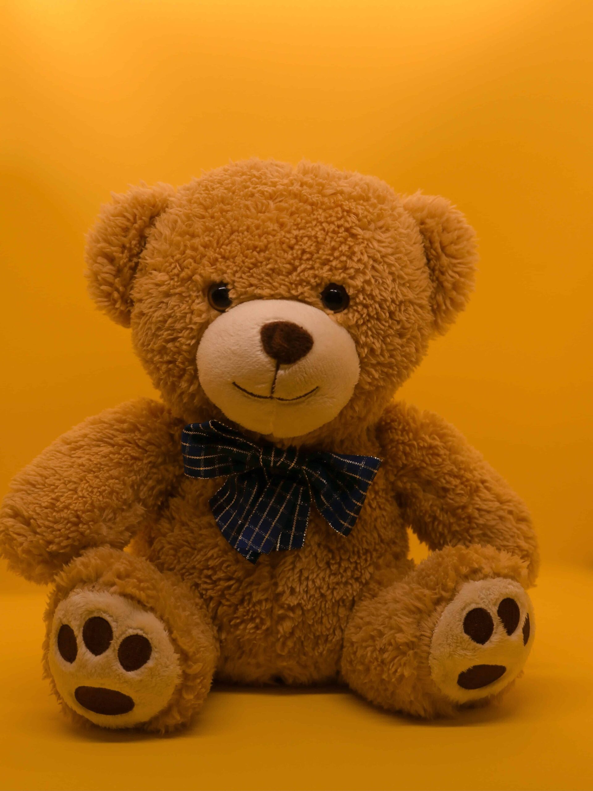 Teddy Bear DP HD