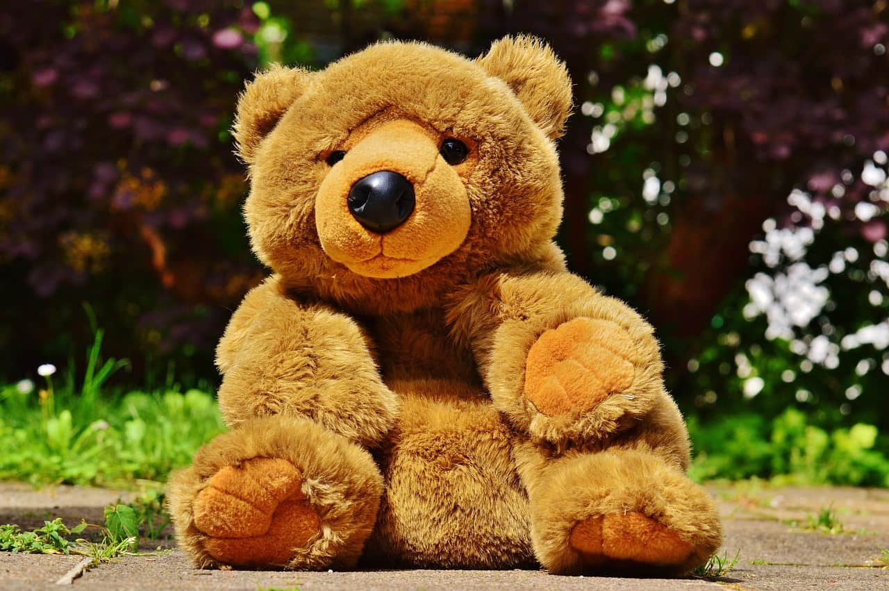 Cute Teddy Bear DP