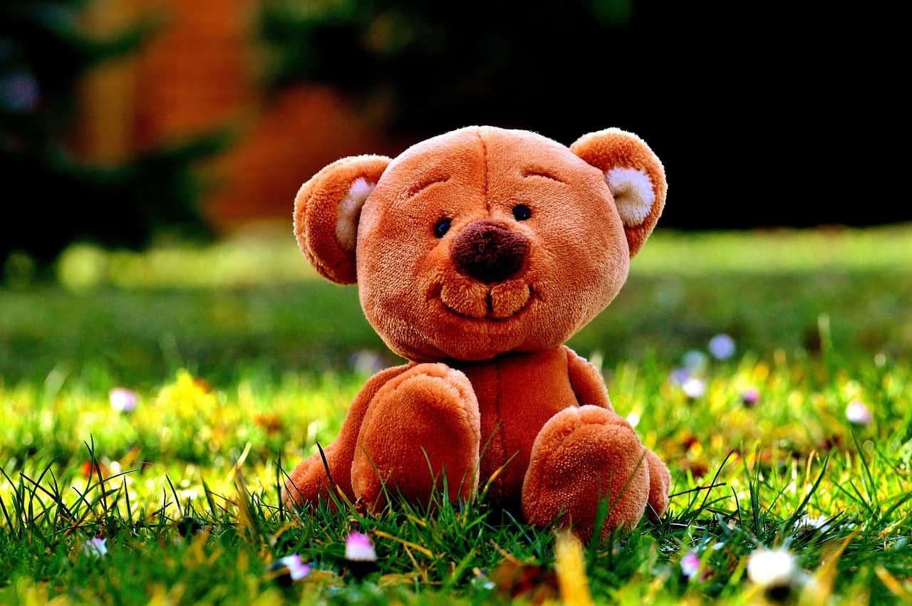Cute Teddy Bear DP