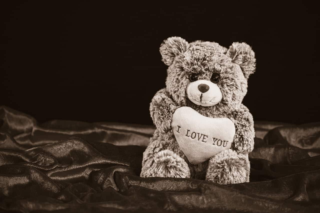 Sweet Teddy Bear DP