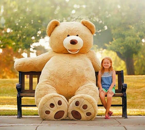 Teddy Bear DP for Instagram