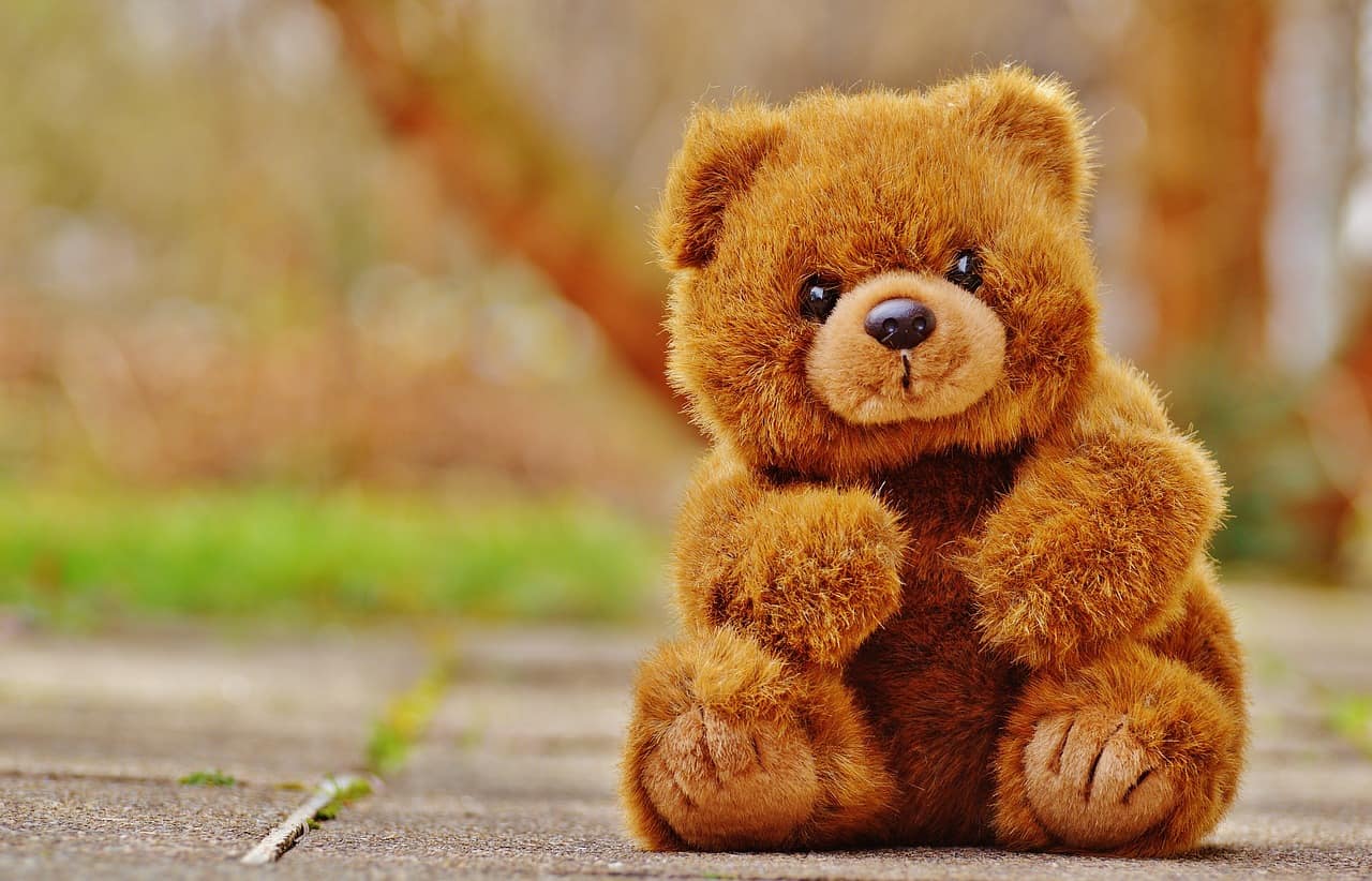 Teddy Bear DP