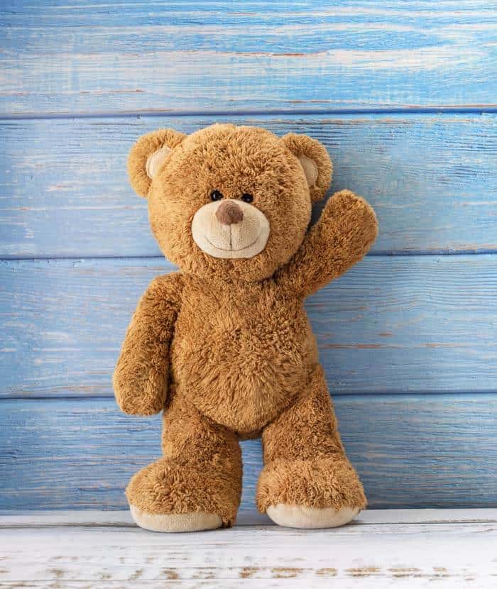 Teddy Bear DP for Instagram