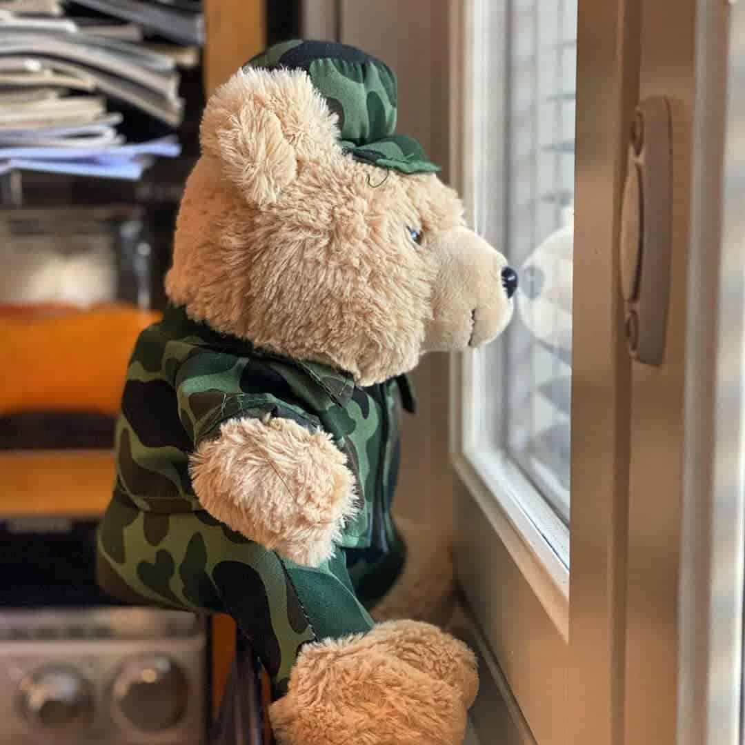 Teddy Bear Images for DP
