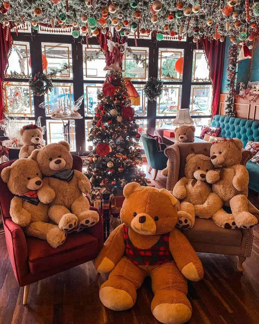 Teddy Bear Images for DP