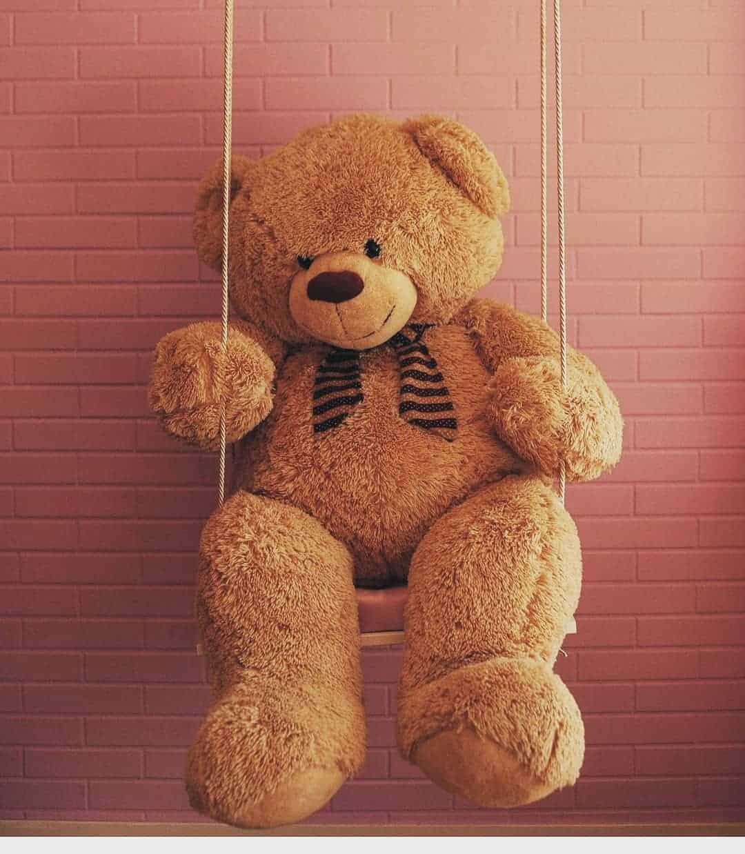 Teddy Bear Whatsapp DP