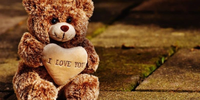 Teddy Bear DP Thumbnail