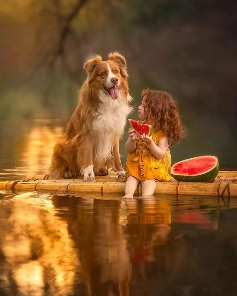 [70+] Aesthetic DP for Instagram & Whatsapp (HD) PhotosFile