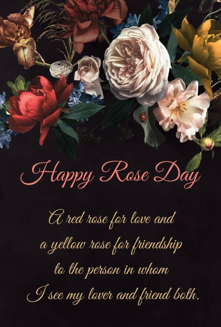 Rose Day Images HD