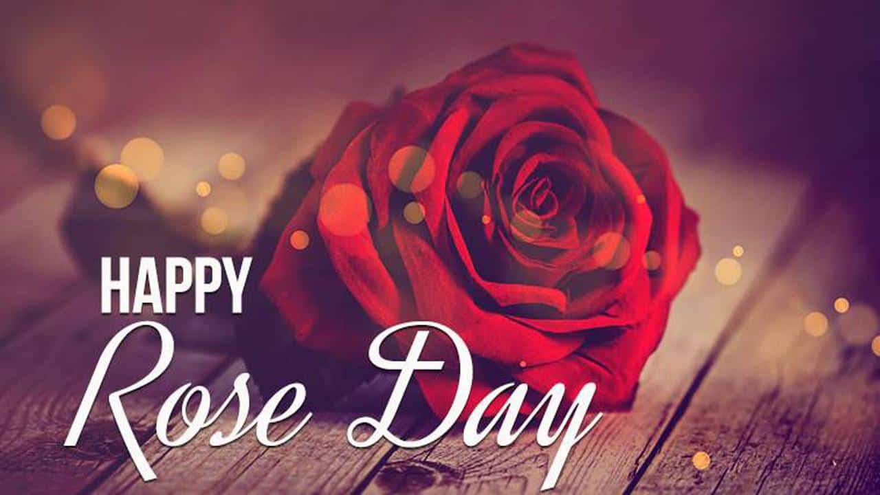 Rose Day Images HD
