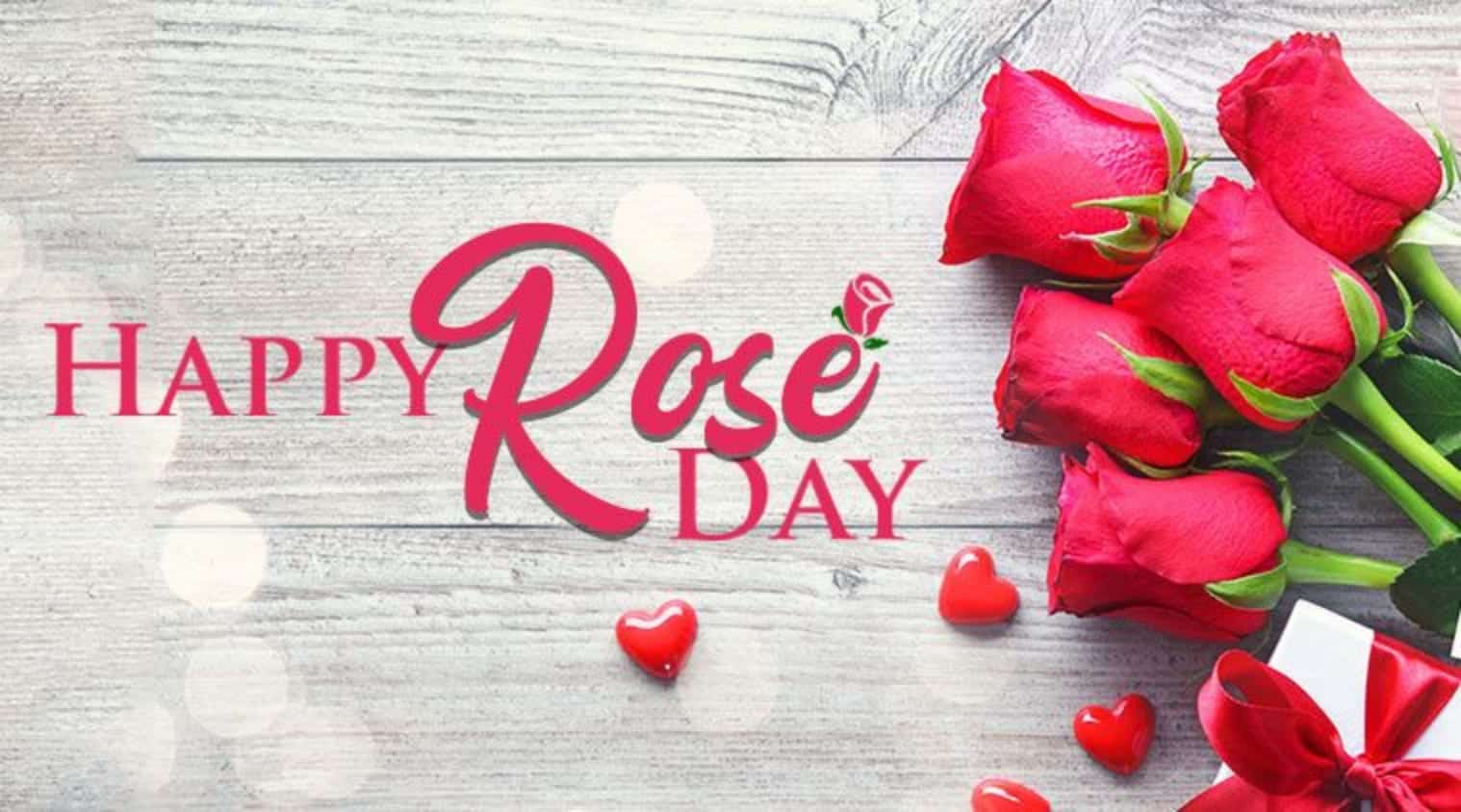 Rose Day Pic