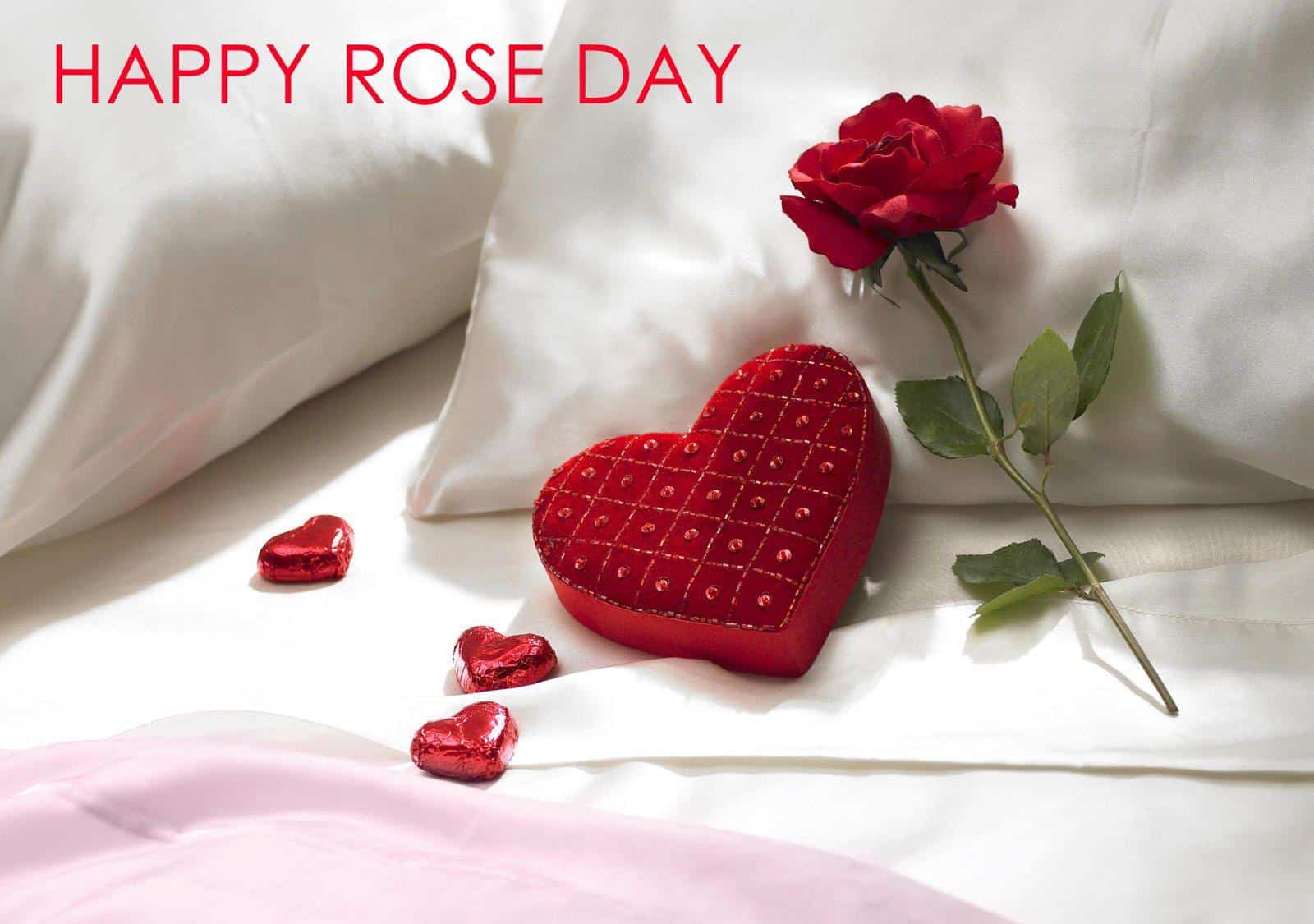 Rose Day Images for Husband
