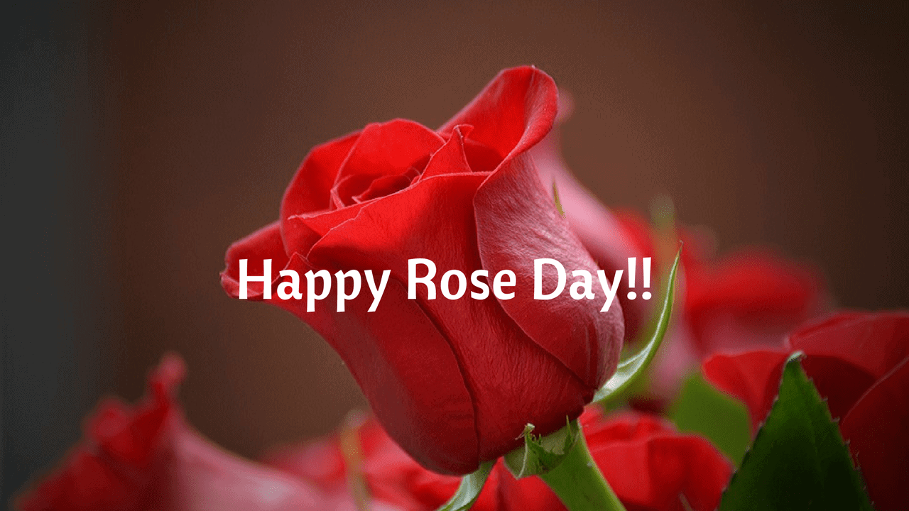 Rose Day Images for Girlfriend