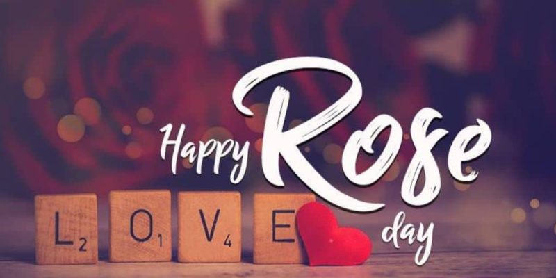 Rose Day Images Thumbnail