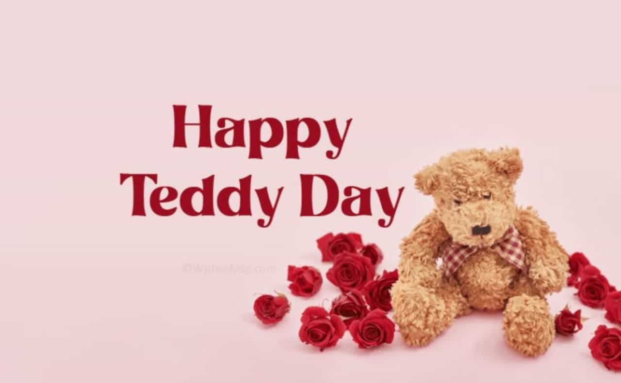 Teddy Day Pic
