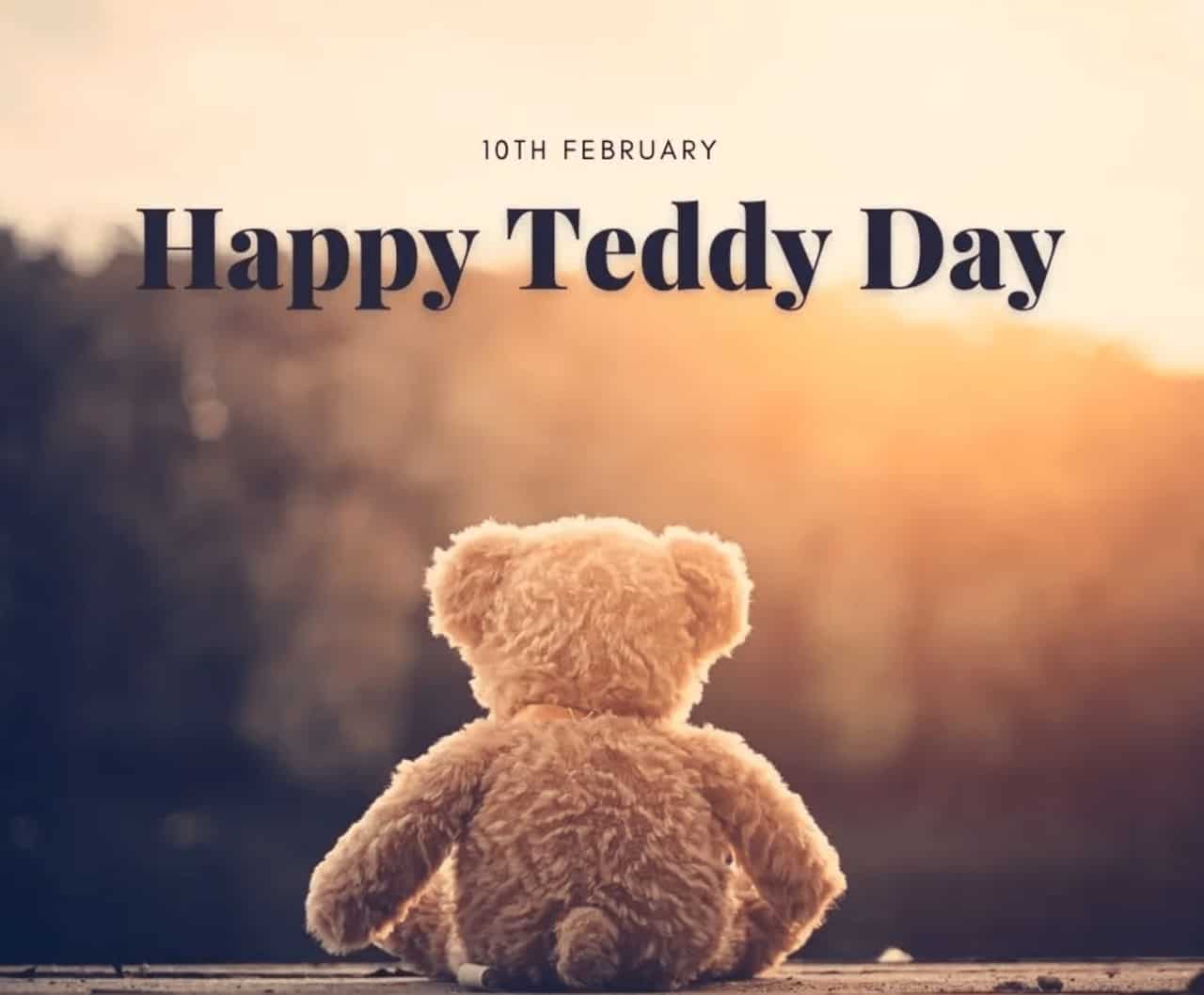 Teddy Day Pic