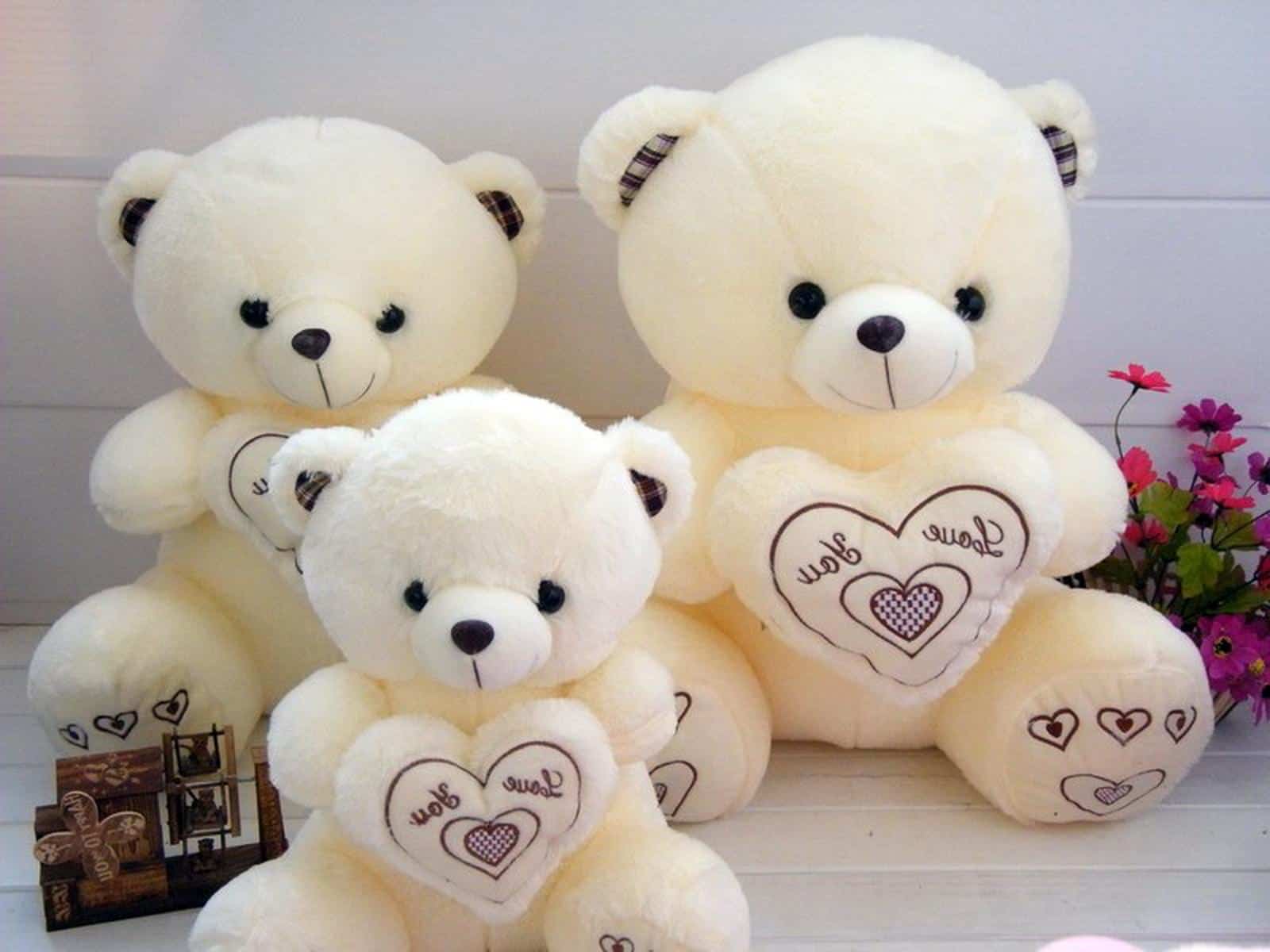 Teddy Day Images for Love