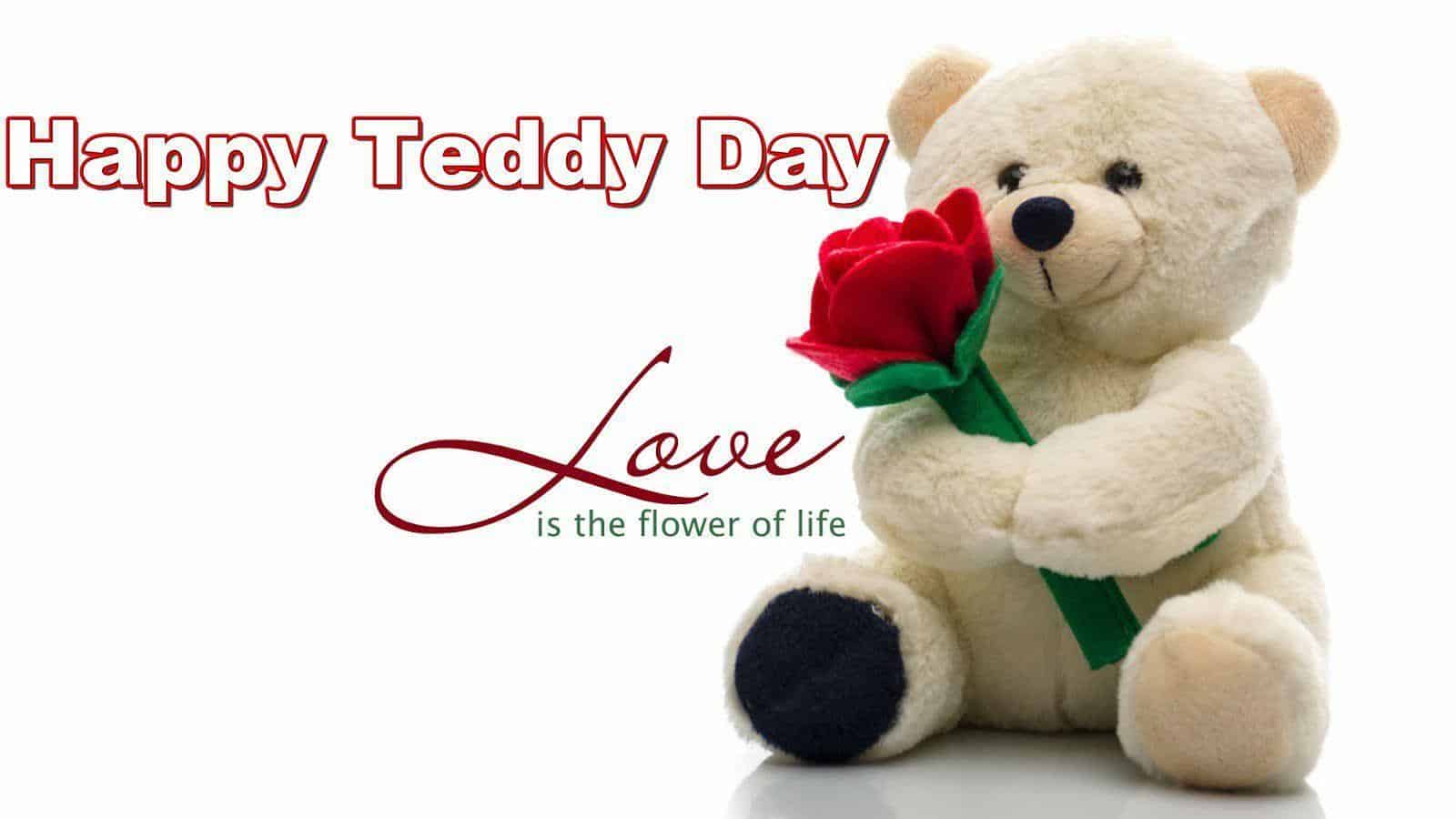 Teddy Day Images for Wife