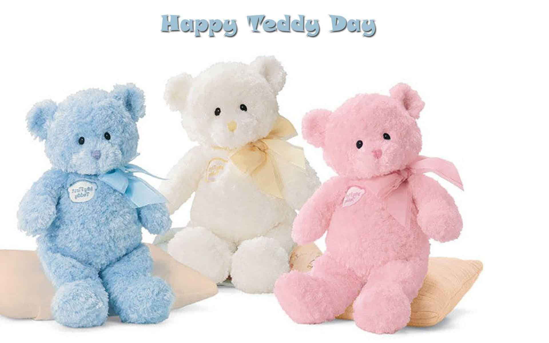 10 Feb Teddy Day Images