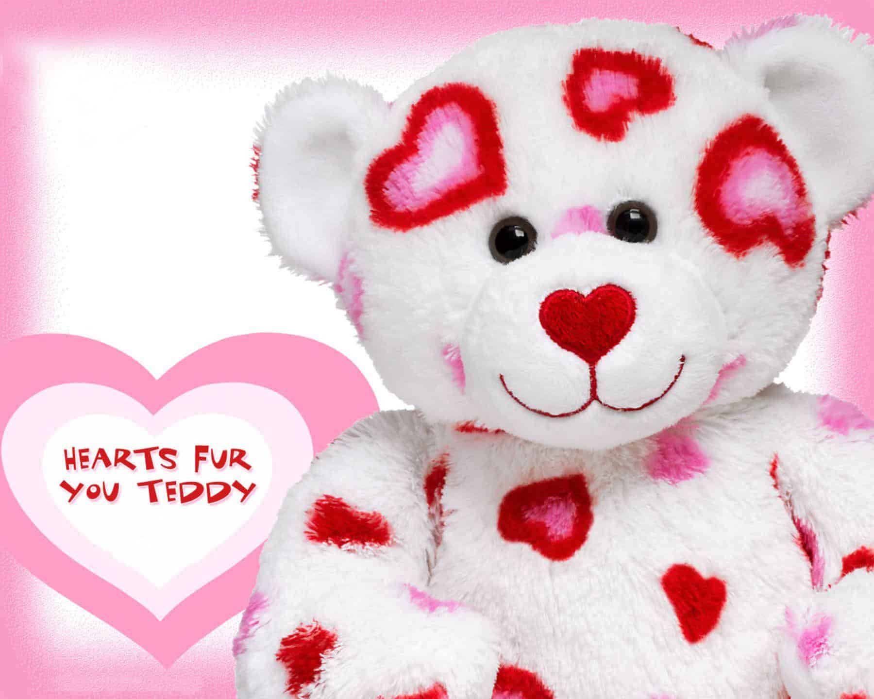 10 Feb Teddy Day Images