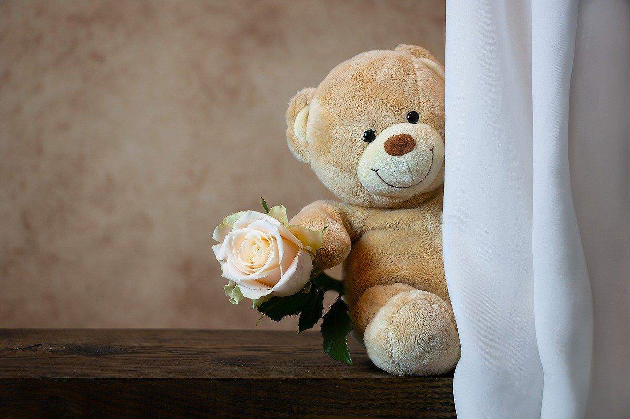 Happy Teddy Day Images