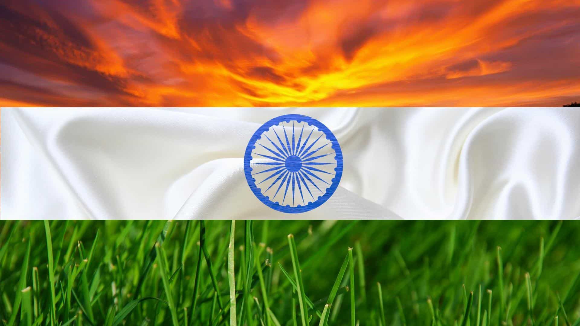 Indian Flag DP