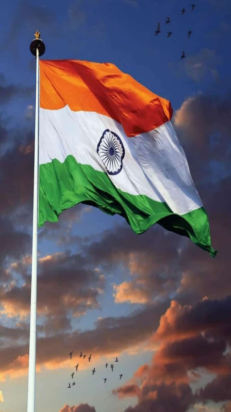 [50+] Indian Flag DP, Image, Photo, Pic & Wallpaper (HD)