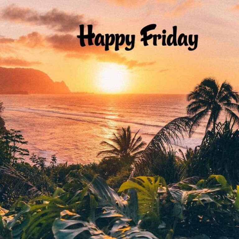 [90+] Happy Friday Images, Photos, Pics & Wallpaper (HD)