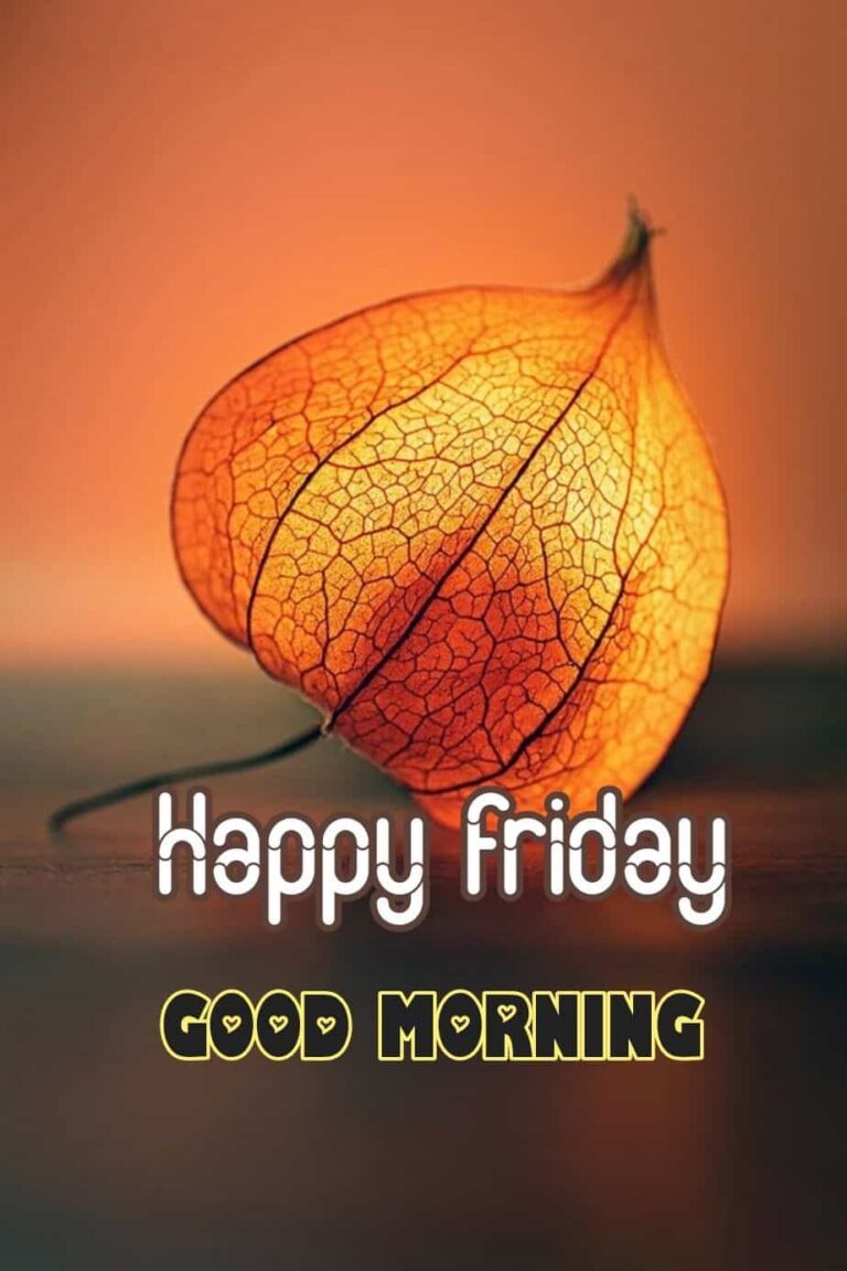 [90+] Happy Friday Images, Photos, Pics & Wallpaper (HD)