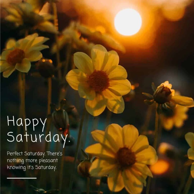 [50+] Happy Saturday Images, Photos, Pics & Wallpaper (HD)
