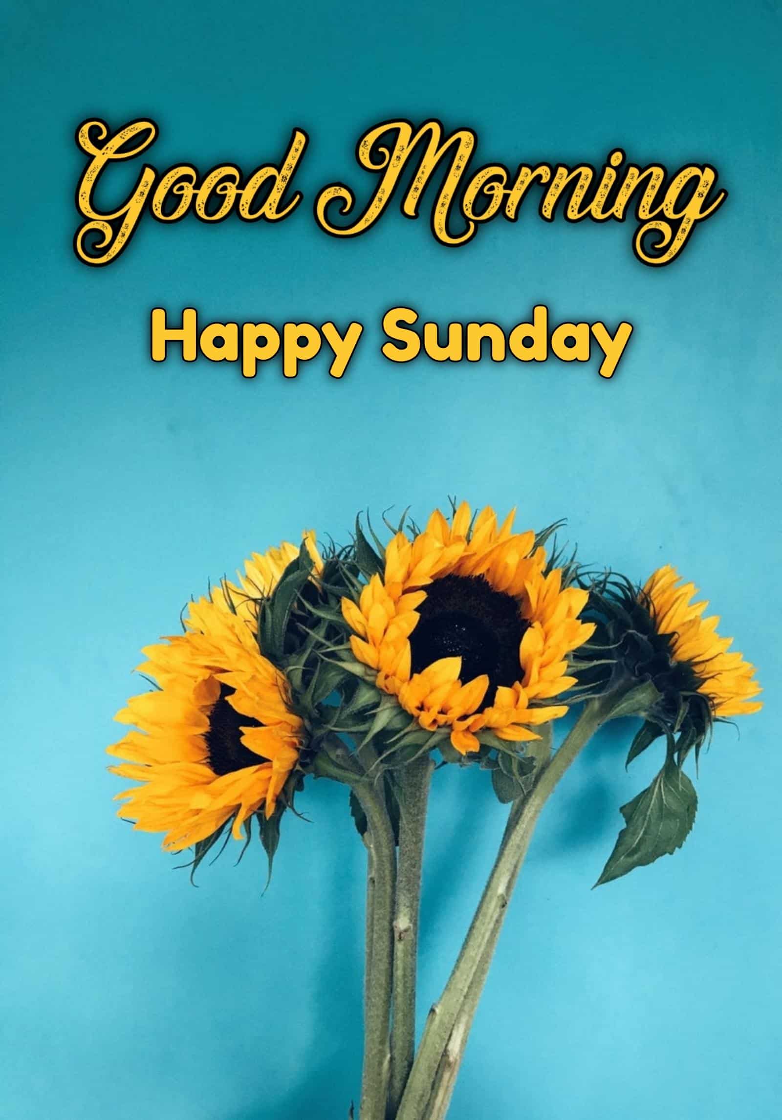 Happy Sunday Blessings Images